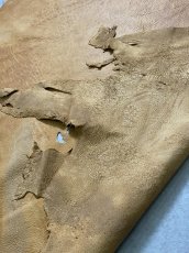 画像11: エゾシカ革　キャメル　ディアー (11)