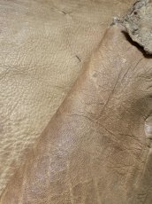 画像10: エゾシカ革　キャメル　ディアー (10)