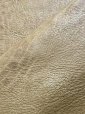 画像9: エゾシカ革　キャメル　ディアー (9)