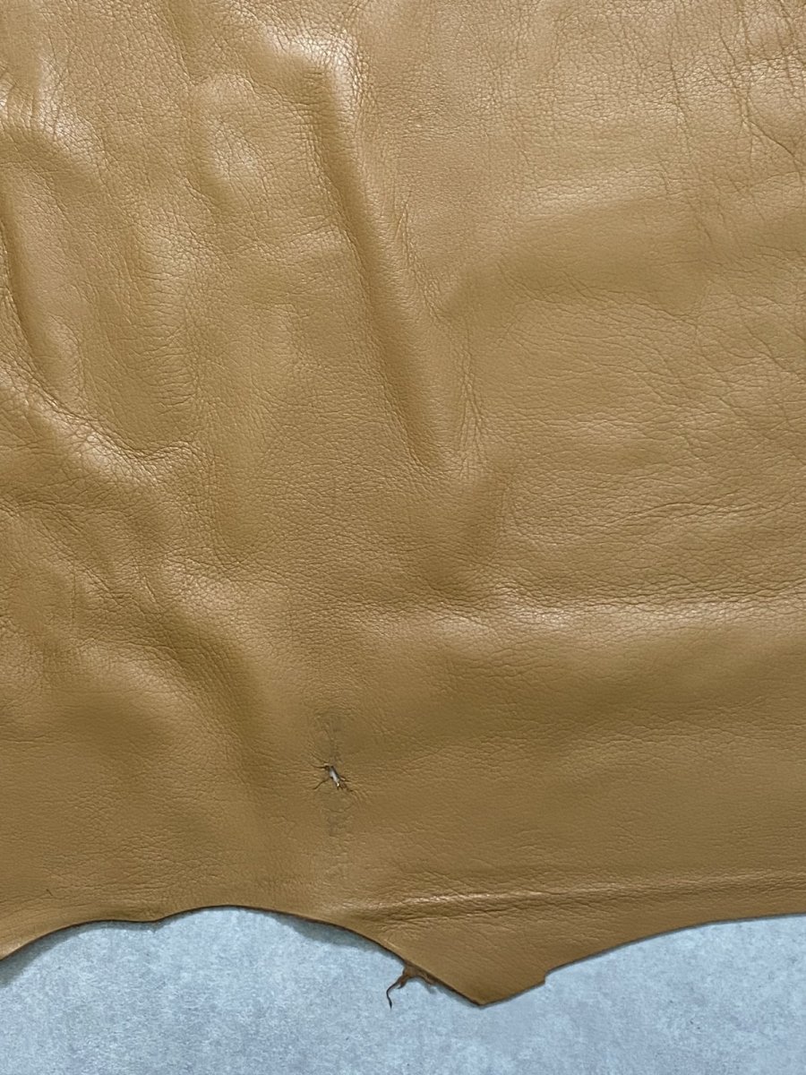 画像6: ディア―　シカ革　キャメル (6)
