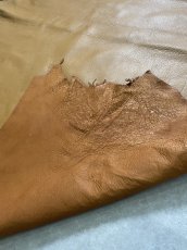 画像9: ディア―　シカ革　キャメル (9)