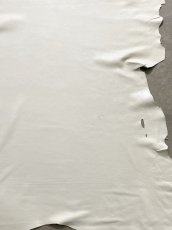 画像7: ディア―　シカ革　ホワイト (7)