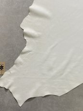 画像5: ディア― 　シカ革　ホワイト (5)