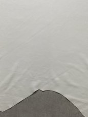 画像6: ディア― 　シカ革　ホワイト (6)