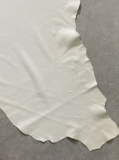 画像7: ディア― 　シカ革　ホワイト (7)