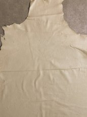 画像6: ディア―　シカ革　オフホワイト (6)