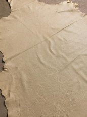 画像4: ディア―　シカ革　オフホワイト (4)