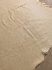 画像5: ディア―　シカ革　オフホワイト (5)