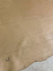 画像4: ディア―　シカ革　ベージュ (4)