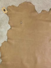 画像5: ディア―　シカ革　ベージュ (5)