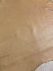 画像3: ディア―　シカ革　ベージュ (3)