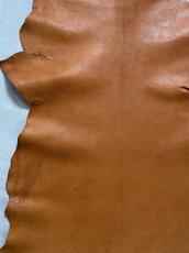 画像5: ヌメゴートシュリンク　キャメル　山羊革　レザークラフト (5)