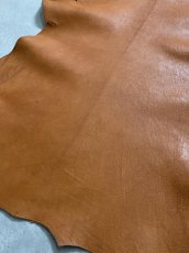 画像9: ヌメゴートシュリンク　キャメル　山羊革　レザークラフト (9)