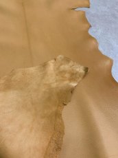 画像7: ゴート革　ソフラン　キャメル　山羊革　レザークラフト (7)