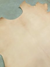 画像2: ゴート革　ヌメハード　山羊革 (2)