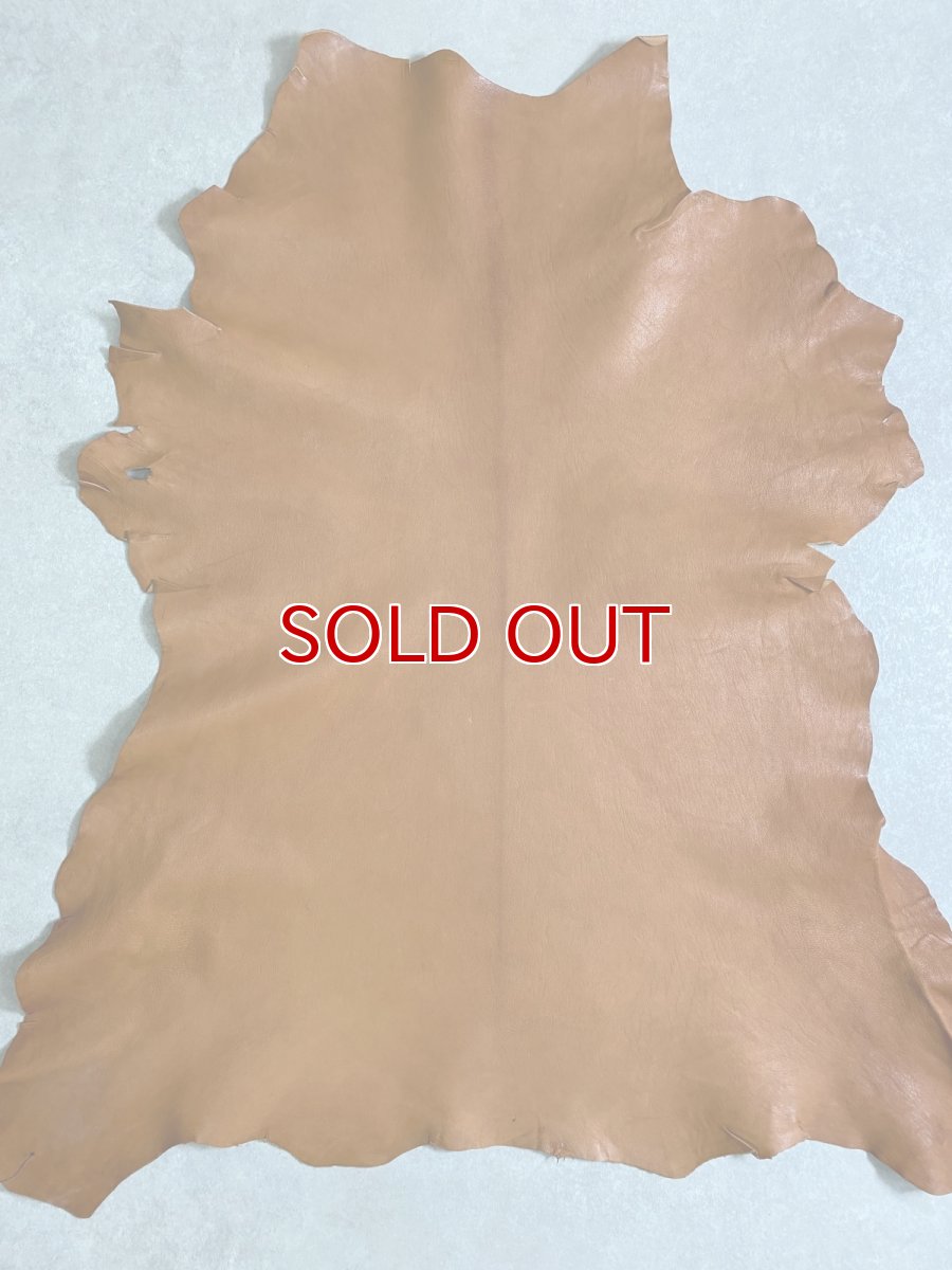 画像1: ヌメゴートシュリンク　キャメル　山羊革　レザークラフト (1)