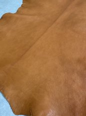画像3: ヌメゴートシュリンク　キャメル　山羊革　レザークラフト (3)