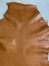 画像5: ヌメゴートシュリンク　キャメル　山羊革　レザークラフト (5)