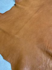 画像3: ヌメゴートシュリンク　キャメル　山羊革　レザークラフト (3)