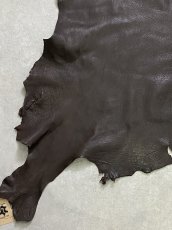 画像5: ゴート革　ヴァガルア　チョコ　山羊革　レザー (5)