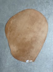 画像10: コードバン　ブラック　馬革 (10)