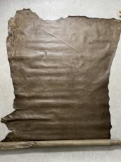 画像1: ポニープルアップ　馬革　グレージュ (1)