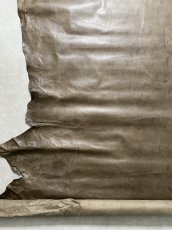 画像6: ポニープルアップ　馬革　グレージュ (6)