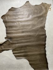 画像1: ポニープルアップ　馬革　グレージュ (1)