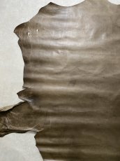 画像6: ポニープルアップ　馬革　グレージュ (6)