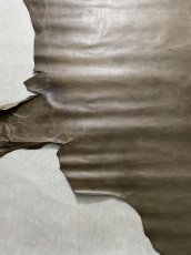 画像8: ポニープルアップ　馬革　グレージュ (8)