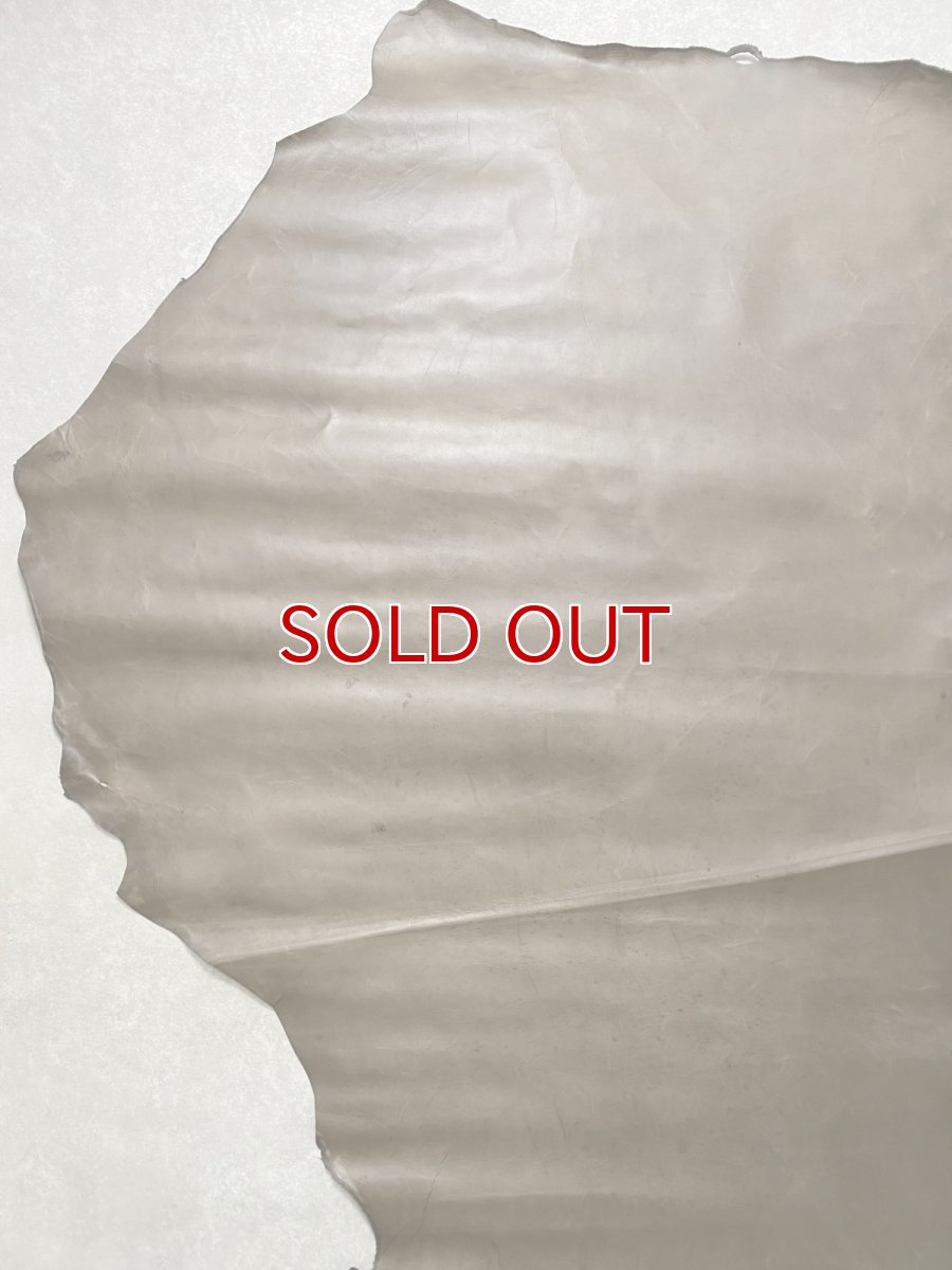 画像7: ポニープルアップ　馬革　グレージュ (7)