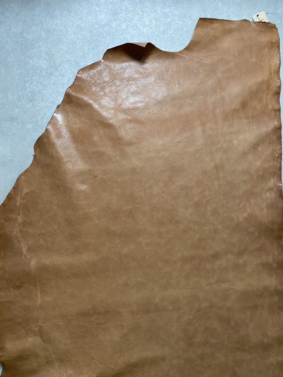 画像6: ポニープルアップ　馬革　チョコ (6)