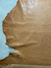 画像8: ポニープルアップ　馬革　チョコ (8)