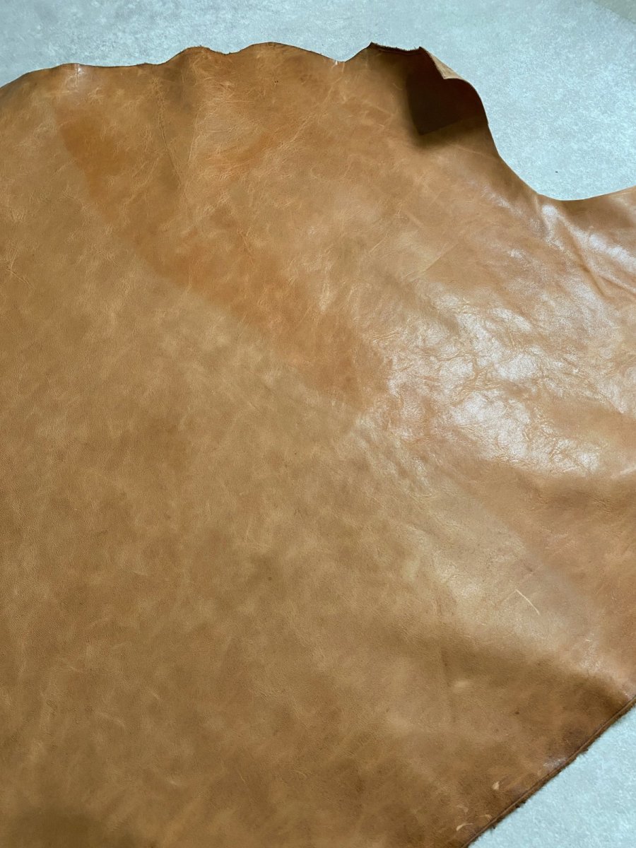 画像9: ポニープルアップ　馬革　チョコ (9)