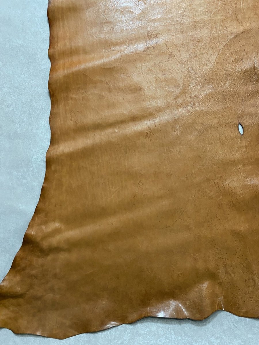 画像9: ポニープルアップ　馬革　チョコ (9)