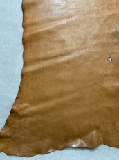 画像9: ポニープルアップ　馬革　チョコ (9)