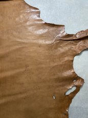 画像7: ポニープルアップ　馬革　チョコ (7)