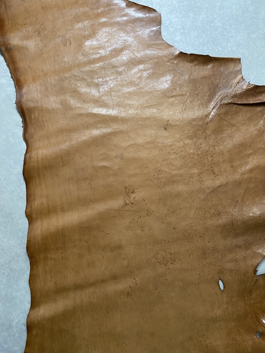 画像6: ポニープルアップ　馬革　チョコ (6)