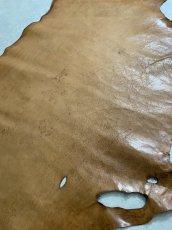 画像4: ポニープルアップ　馬革　チョコ (4)