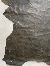 画像7: ポニープルアップ 　ボア型押し　馬革　グレー (7)