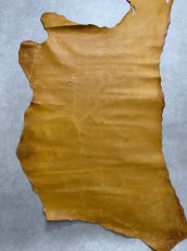 画像1: ポニープルアップ 　ボア型押し　馬革　キャメル (1)