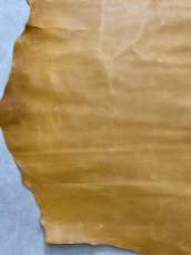 画像7: ポニープルアップ 　ボア型押し　馬革　キャメル (7)