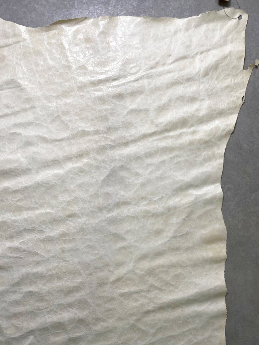 画像6: ポニープルアップ　オフホワイト　薄口 (6)