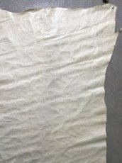 画像6: ポニープルアップ　オフホワイト　薄口 (6)