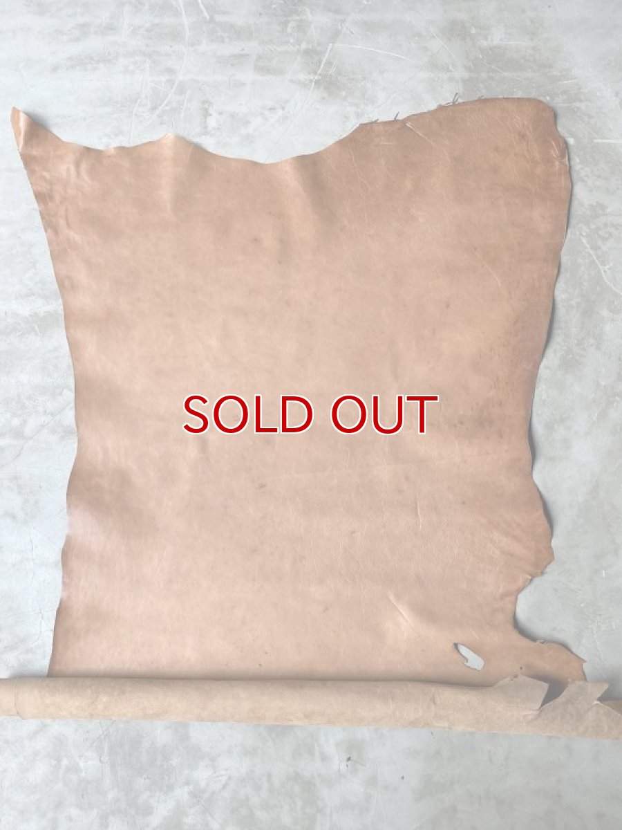 画像1: ポニープルアップ　キャメル (1)