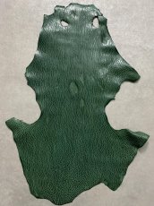 画像1: ケープシール　グリーン　オットセイ革 (1)
