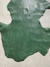 画像3: ケープシール　グリーン　オットセイ革 (3)