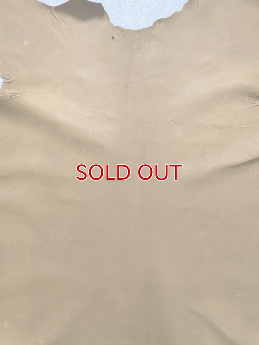 画像4: カンガルー革 キャメル カンガルーレザー (4)