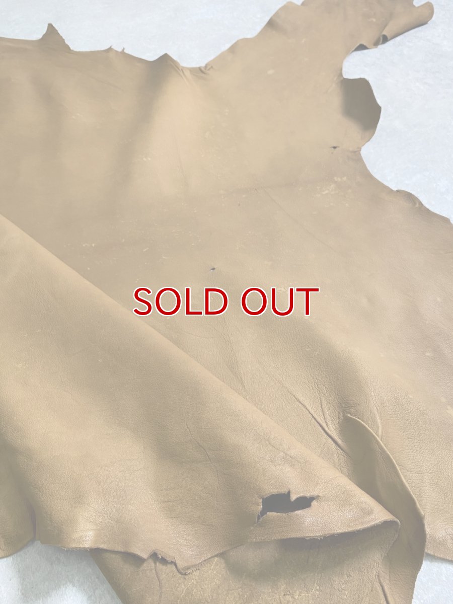 画像3: カンガルー革 キャメル カンガルーレザー (3)