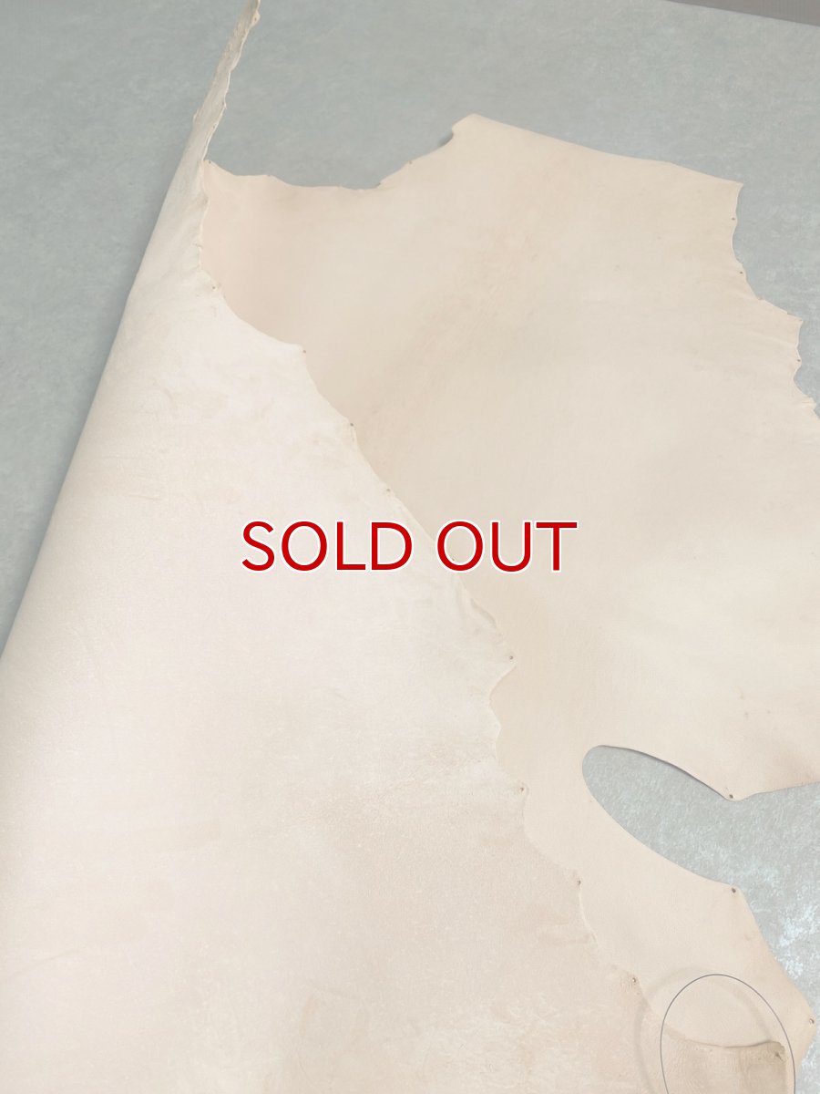 画像8: シープ　タンロー　ヌメ　羊革　ナチュラル　タンニン鞣し　 (8)